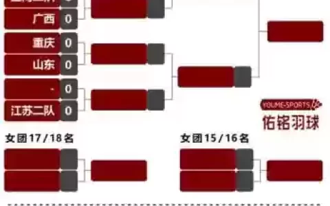 羽毛球锦标赛中国阵容