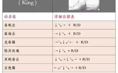 我是皇打boss用那些技能