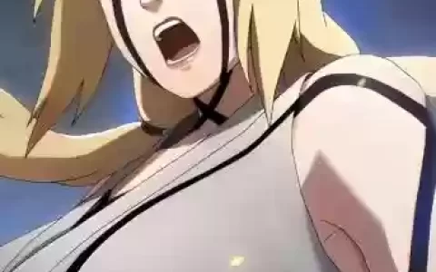 百豪纲手和二代水影阵容