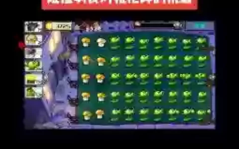 机枪碗豆阵容