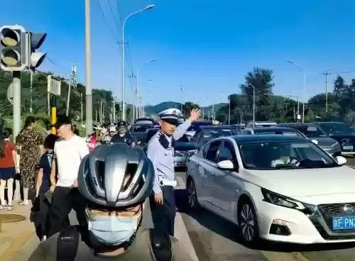 交警拦车阵容插图1