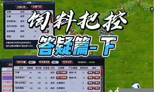 梦幻西游饲料怎么插图