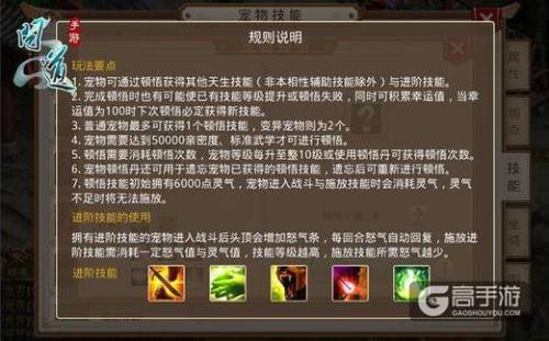 问道宠物如何顿悟技能插图