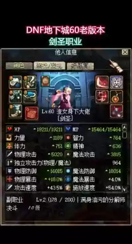 剑圣dnf无限技能装备插图