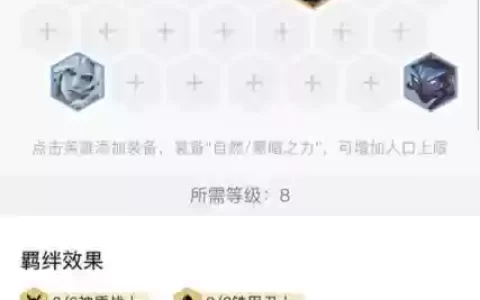 云顶之弈阵容及出装s5