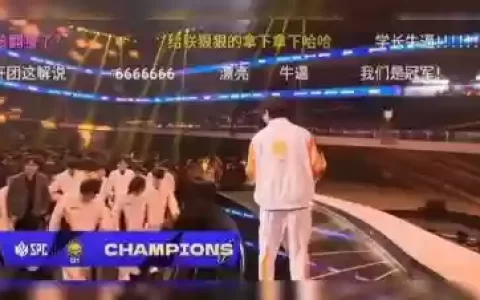 甩头阵容