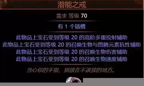 流放之路召唤饥饿戒指技能搭配插图