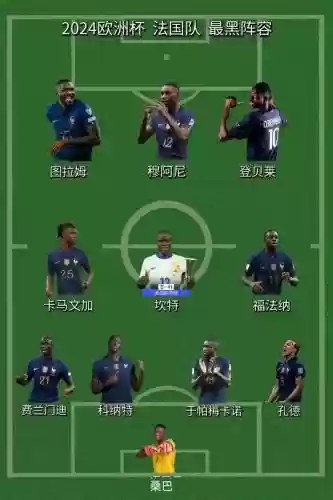 法国阵容国籍插图1