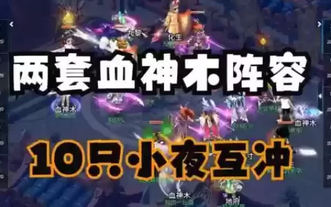 双神木阵容