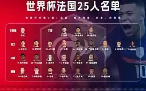 法国阵容国籍