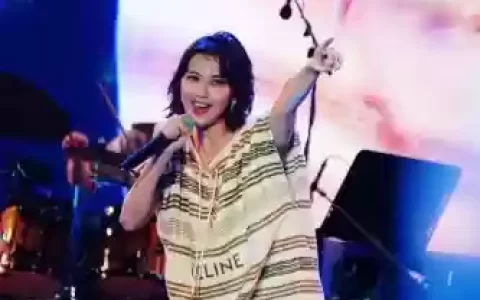 孙燕姿阵容