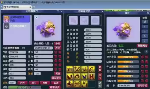 梦幻西游125级攻宠插图1