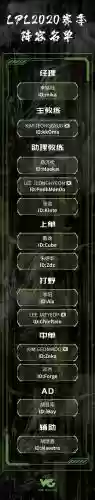 vg阵容lol插图