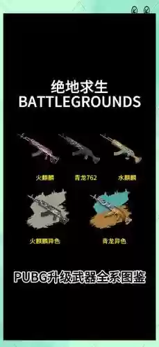 刺激战场最好的吃鸡装备插图