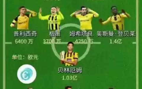 多特蒙德2020阵容