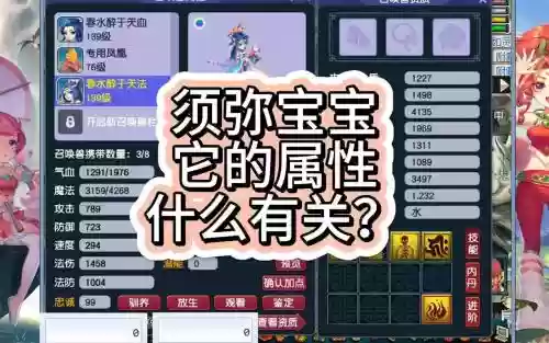 梦幻西游须弥185宝宝插图1