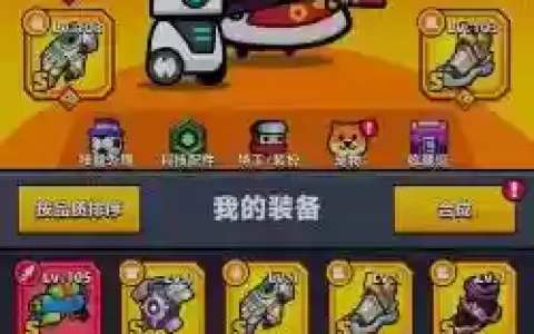 特工送的ss武器加什么属性好