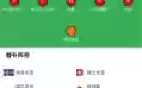 冰岛瑞士阵容