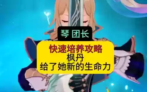 团长琴阵容插图1