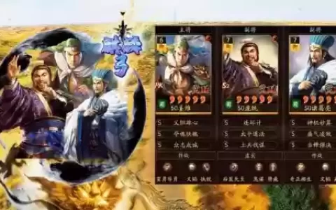 姜维转型阵容_1