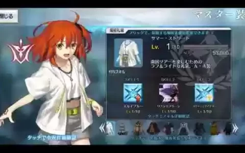 fgo夏日御主装备