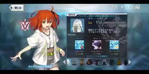 fgo夏日御主装备插图