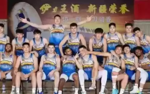 巅峰新疆阵容