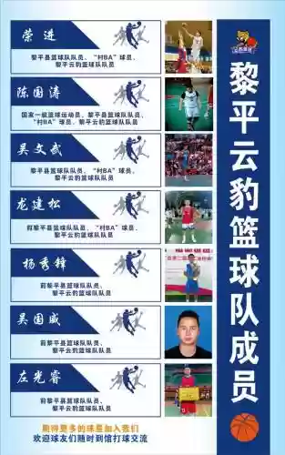 云豹队阵容插图