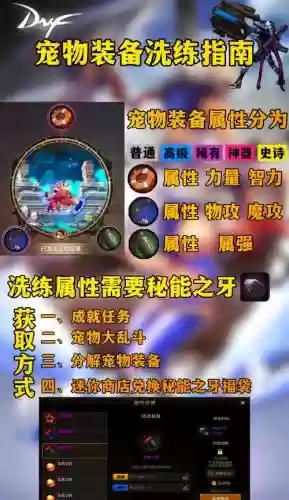 dnf2018宠物装备能买吗插图