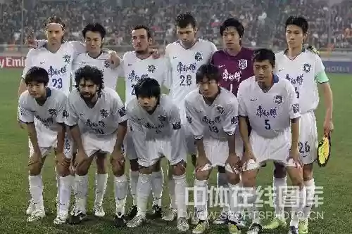 2010泰达阵容插图1