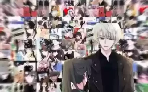 偏偏宠爱阵容