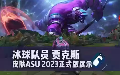 武器冰球队员皮肤多少钱插图1