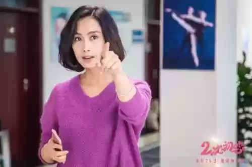 叶兰最新阵容插图1