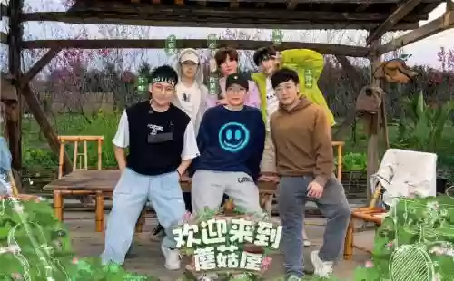 欢迎来到蘑菇屋阵容搭配插图1
