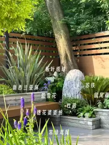 仲夏庭园阵容搭配插图1
