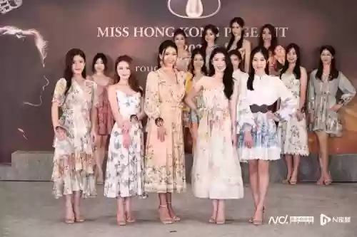 嘉丽阵容搭配插图1