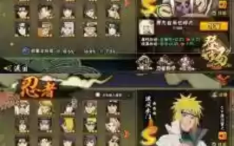 超载奥义阵容