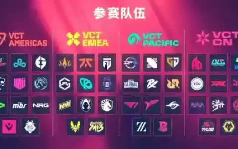 vct新阵容