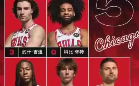公牛活塞阵容