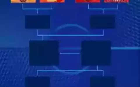 合肥狂风阵容