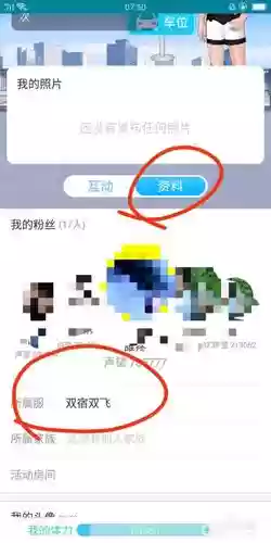 派派技能钻石可以移民插图