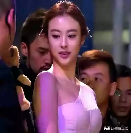 兽兽阵容插图1