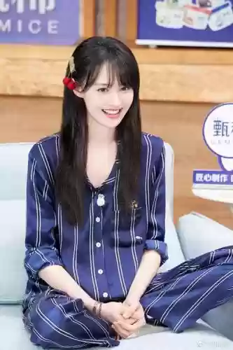 邓爽阵容插图1