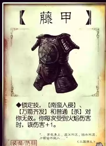 不适合装备藤甲插图