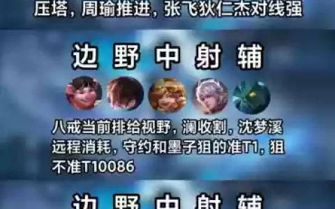 帮忙排下阵容_1