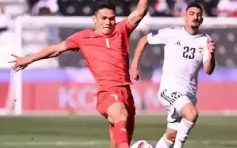 踢越南阵容