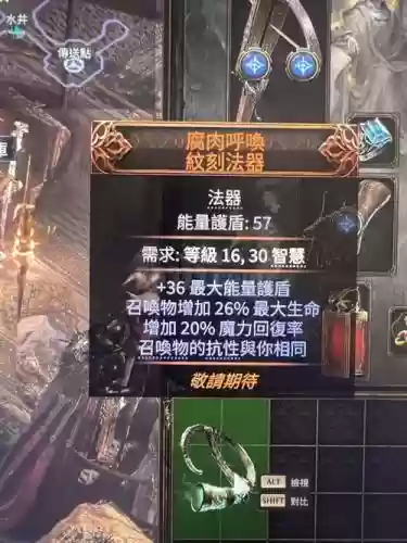 流放之路召唤用的装备插图