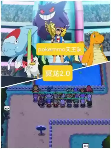 pokemmo龙阵容搭配插图1