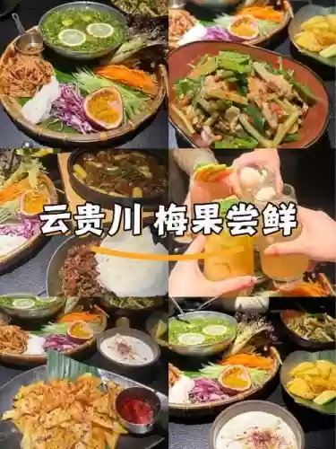 梅果阵容插图1