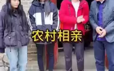 村里相亲阵容